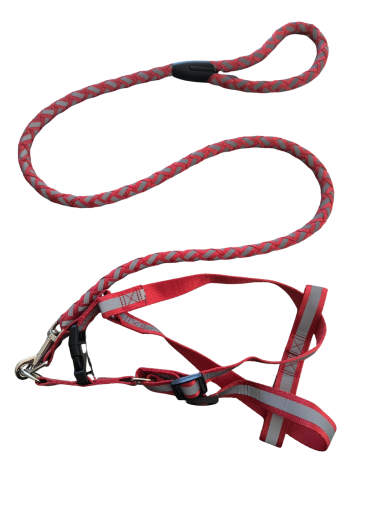 PlayMe комплект нагръдник с повод въже М червен