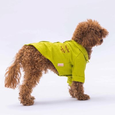 Риза за куче зелена M