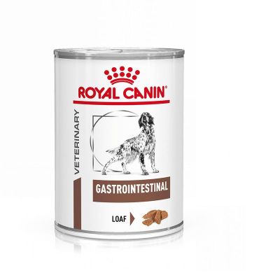 VHN GASTRO DOG CAN 400G