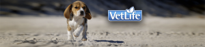 VetLife