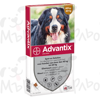 Advantix spot-on for dogs 60 kg/
