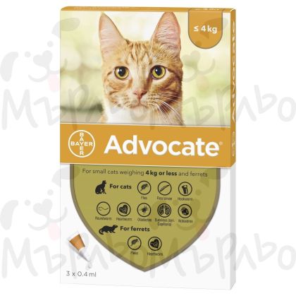 Адвокейт коте до 4кг