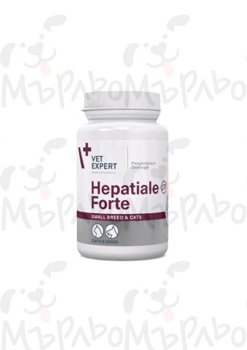 Hepatiale Forte 170 mg за дребни породи