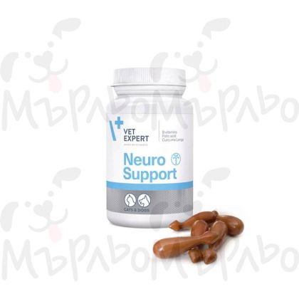 Neuro Support