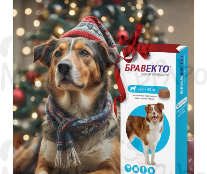 Bravecto / Бравекто - таблетка за дъвчене за куче до 40 кг