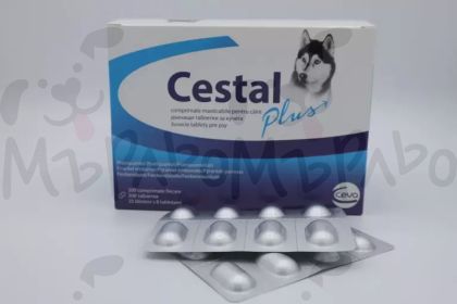 Cestal Plus for dogs / Цестал куче - дъвчащи таблетки за кучета