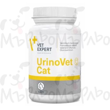 Уриновет котка