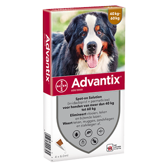 Адвантикс спот-он куче до 60 кг 4 пипети Адвантикс спот-он куче до 60 кг