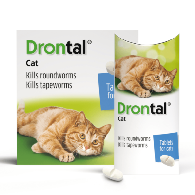 Drontal cat  / Дронтал за котка - кутия с 2 таблeтки