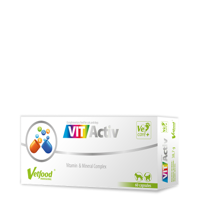 Vitactiv 60 caps