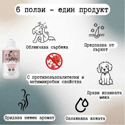 Графично описание на ползите от шампоана Мърльо хигиенен