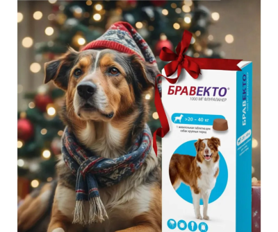 Bravecto / Бравекто - таблетка за дъвчене за куче до 40 кг
