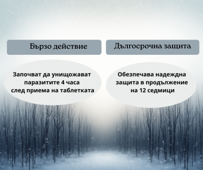 Bravecto / Бравекто - таблетка за дъвчене за куче до 40 кг